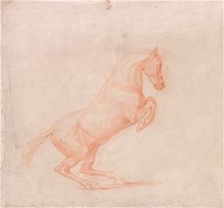 George Stubbs - A Prancing Horse, Facing Right - Google Art Project