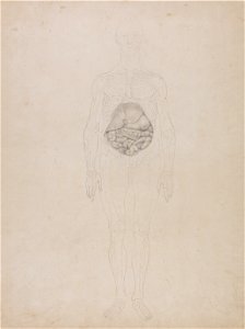 George Stubbs - A Comparative Anatomical Exposition of the Structure of the Human Body with that of a Tiger and a Co... - Google Art Project (2346871)