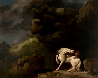 George Stubbs - A Lion Attacking a Horse - 1955.27.1 - Yale University Art Gallery. Free illustration for personal and commercial use.