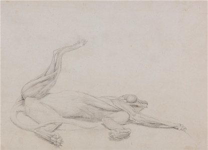 George Stubbs - A Comparative Anatomical Exposition of the Structure of the Human Body with that of a Tiger and a Co... - Google Art Project (2348790)