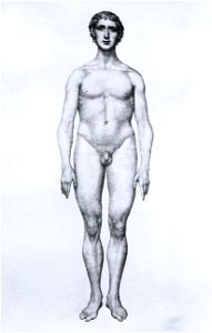 George Stubbs - Man - WGA21953