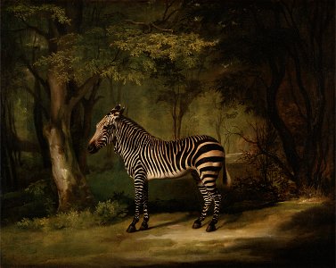 George Stubbs - Zebra - Google Art Project. Free illustration for personal and commercial use.