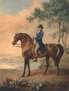 George Townly Stubbs - Warren Hastings on his Arabian Horse - Google Art Project