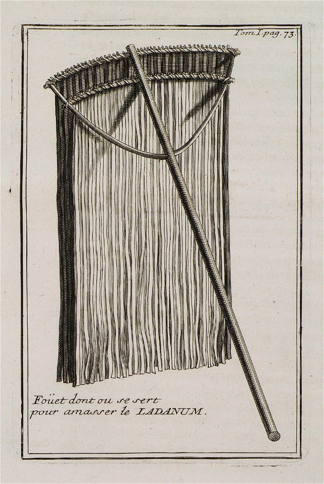 Fouet dont on se sert pour amasser le Ladanum - Tournefort Joseph Pitton De - 1717