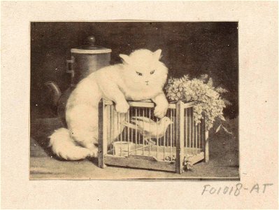 Fotoreproductie van (vermoedelijk) een schilderij met een kat bij een vogelkooi. Free illustration for personal and commercial use.