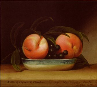Fox grapes and peaches raphaelle peale. Free illustration for personal and commercial use.