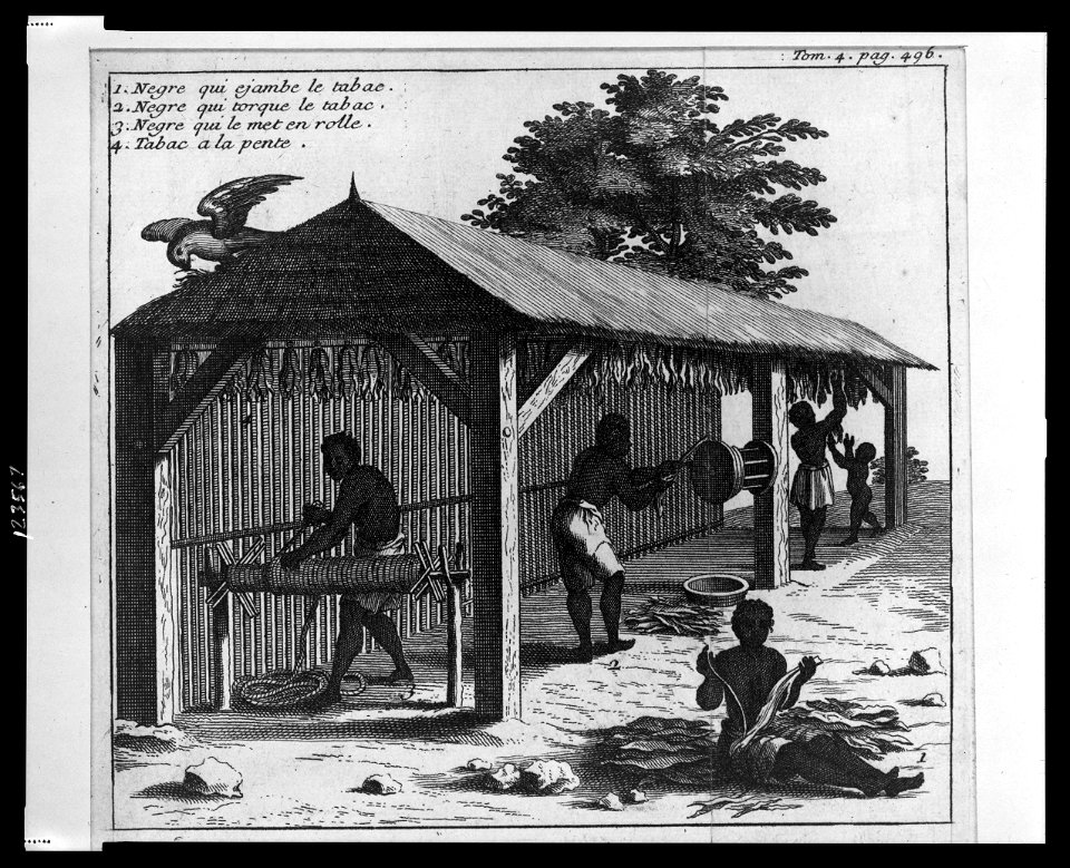 Four people working with harvested tobacco in shed LCCN99406790