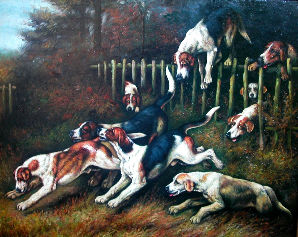 Foxhounds by Frances C. Fairman