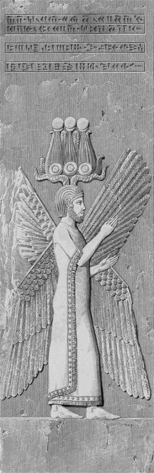 Four wings,Texier