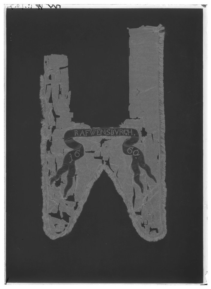 Fragment av begravningsbanér, Ravensburgs vapen, använt vid Karl X Gustavs begravningståg 1660 - Livrustkammaren - 27538-negative