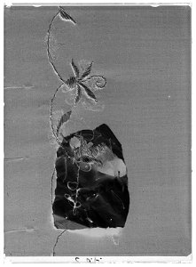 Fragment av ett par svarta strumpeband - Livrustkammaren - 69492-negative