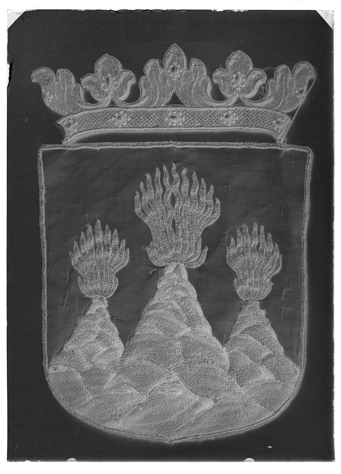 Fragment av begravningsbanér, Västmanland, fäst vid Karl X Gustavs begravningståg 1660 - Livrustkammaren - 60265-negative