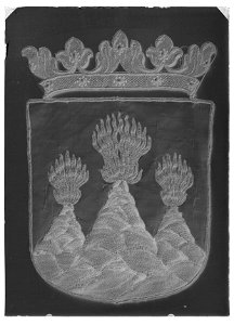 Fragment av begravningsbanér, Västmanland, fäst vid Karl X Gustavs begravningståg 1660 - Livrustkammaren - 60265-negative