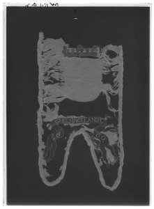 Fragment av begravningsbanér, Hälsingland, fört i Karl X Gustavs begravningståg 1660 - Livrustkammaren - 1856-negative