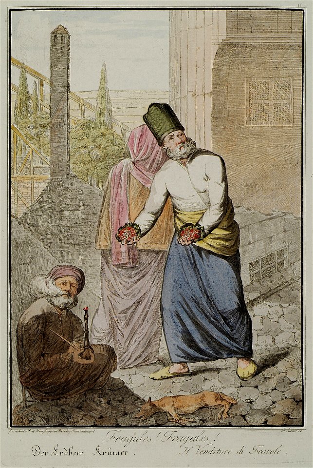 Fragules! Fragules! - Hunglinger Von Yngue Andreas Magnus - 1800