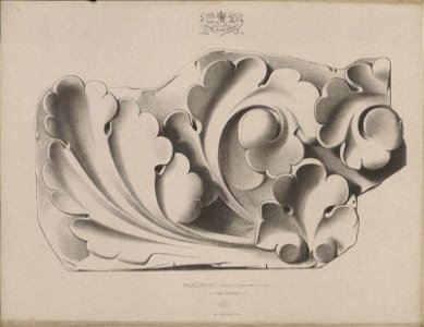 Fragment (portail de Notre Dame de Paris), Style Gothique, objectnr A 59231