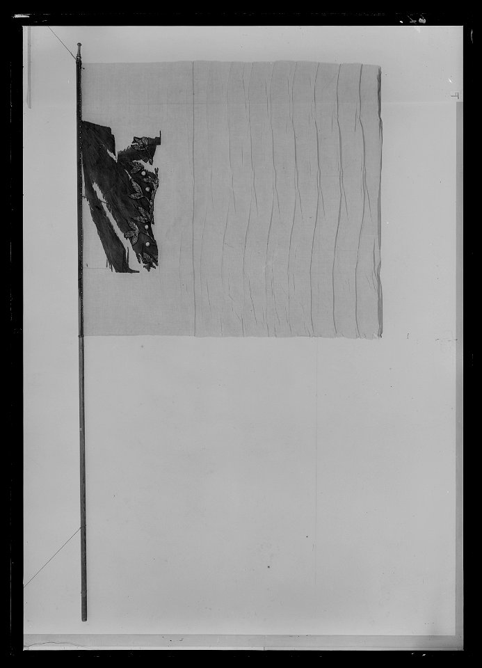Fragment av en fana - Livrustkammaren - 51780