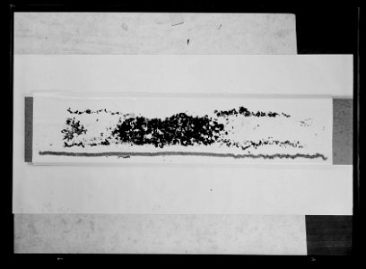 Fragment av ett par svarta strumpeband - Livrustkammaren - 77946