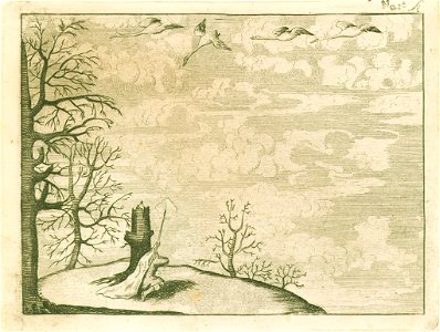Franc Anton Steinberg - Lov na labode