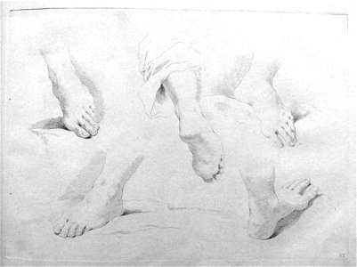 Francesco Bartolozzi - Plate 6 Five studies of feet seen from various angles, four of the left foot and one of the right; in outline. 1760, 1860,1208.288