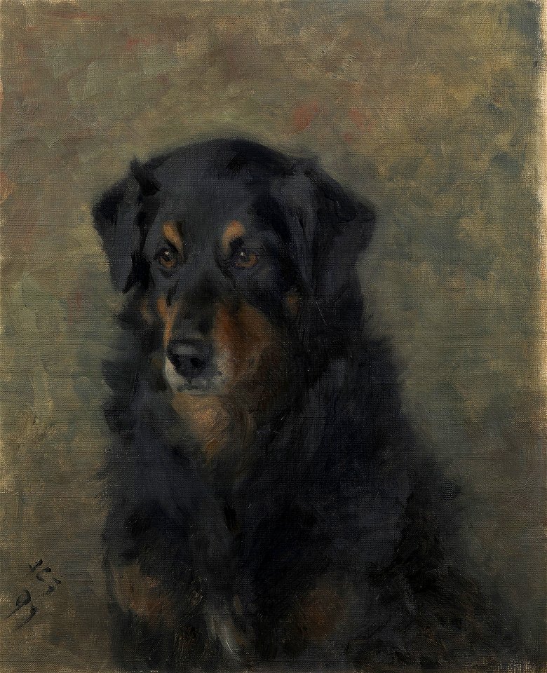Frances C Fairman (1836-1923) - Roy - RCIN 403575 - Royal Collection