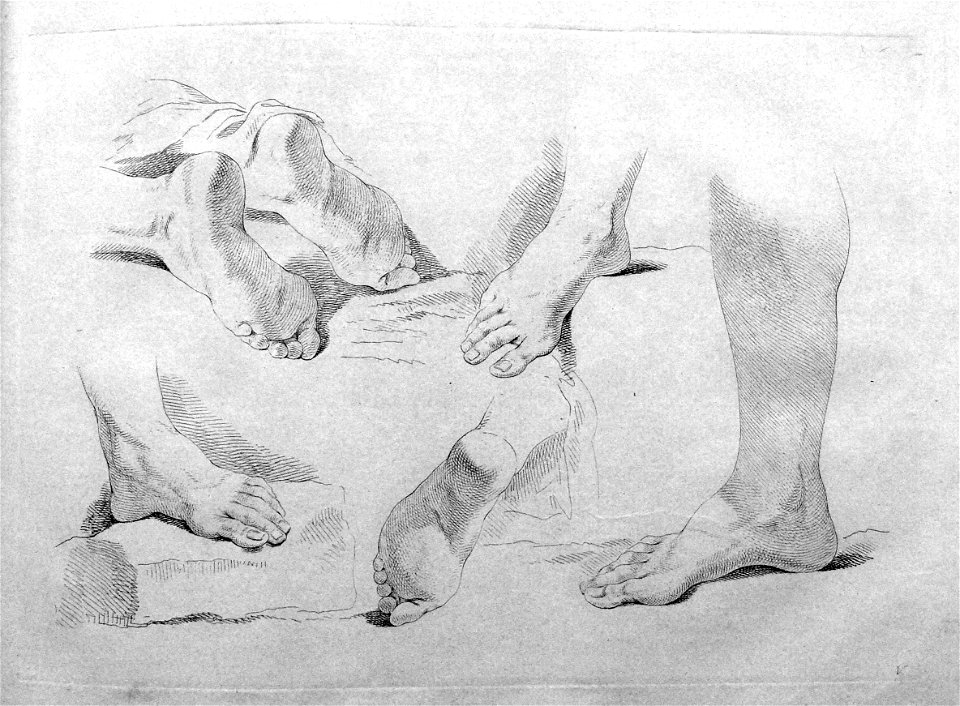 Francesco Bartolozzi - Plate 5 Study of a right leg with five studies of feet at various angles alongside; in outline. 1760, 1860,1208.286