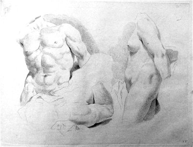Francesco Bartolozzi - Plate 15 Studies of a male torso and arm, and a woman's body in profile, seen from above the knee to the neck; in outline. 1760, 1860,1208.306