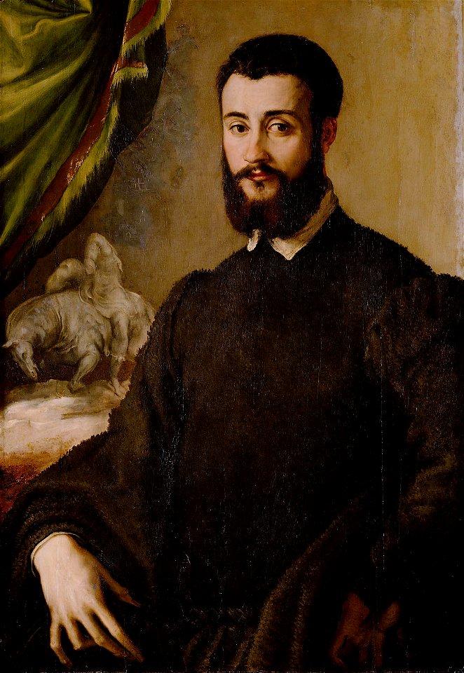 Francesco de’ Rossi, gen. Cecchino Salviati - Bildnis eines Mannes aus der Familie Santacroce - GG 296 - Kunsthistorisches Museum