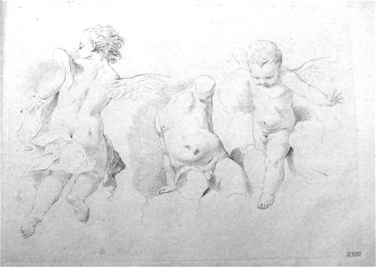 Francesco Bartolozzi - Plate 23 Three studies of children; a flying putto seen from behind, a torso, and a putto walking through a cloud; in outline. 1760, 1860,1208.322
