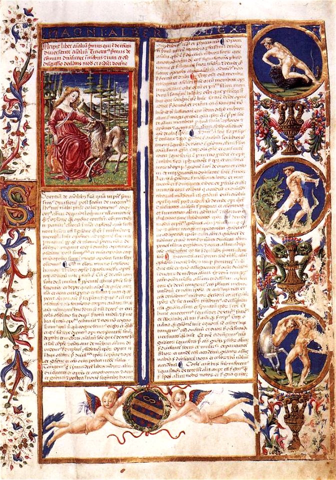 Francesco di Giorgio, Codex De Animalibus