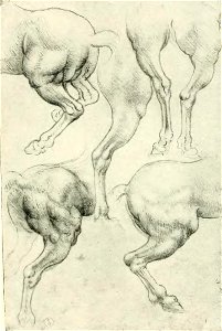 Francesco Malaguzzi Valeri - Leonardo da Vinci e la scultura, Bologna, 1922 (page 149 crop)