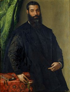 Francesco Salviati (Francesco de' Rossi) - Portrait of a Man - Google Art Project