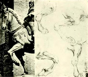 Francesco Malaguzzi Valeri - Leonardo da Vinci e la scultura, Bologna, 1922 (page 143 crop)