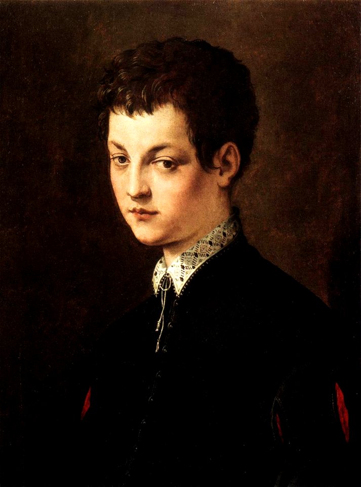 Francesco salviati, ritratto di ragazzo