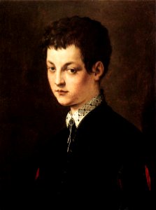 Francesco salviati, ritratto di ragazzo