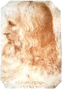 Francesco Melzi - Portrait of Leonardo - WGA14795FXD
