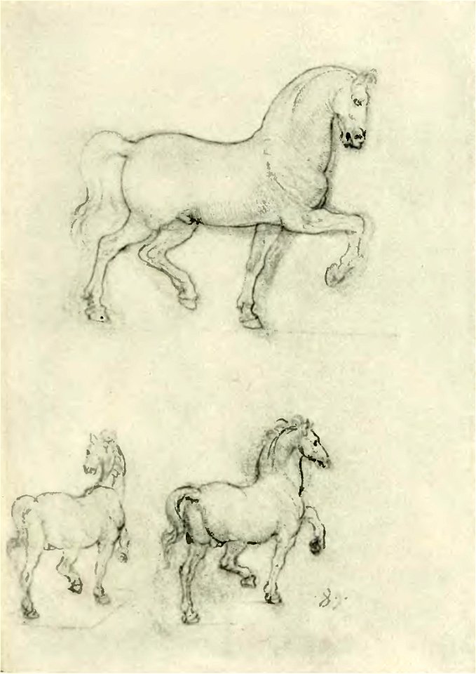 Francesco Malaguzzi Valeri - Leonardo da Vinci e la scultura, Bologna, 1922 (page 147 crop)