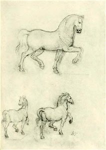 Francesco Malaguzzi Valeri - Leonardo da Vinci e la scultura, Bologna, 1922 (page 147 crop)