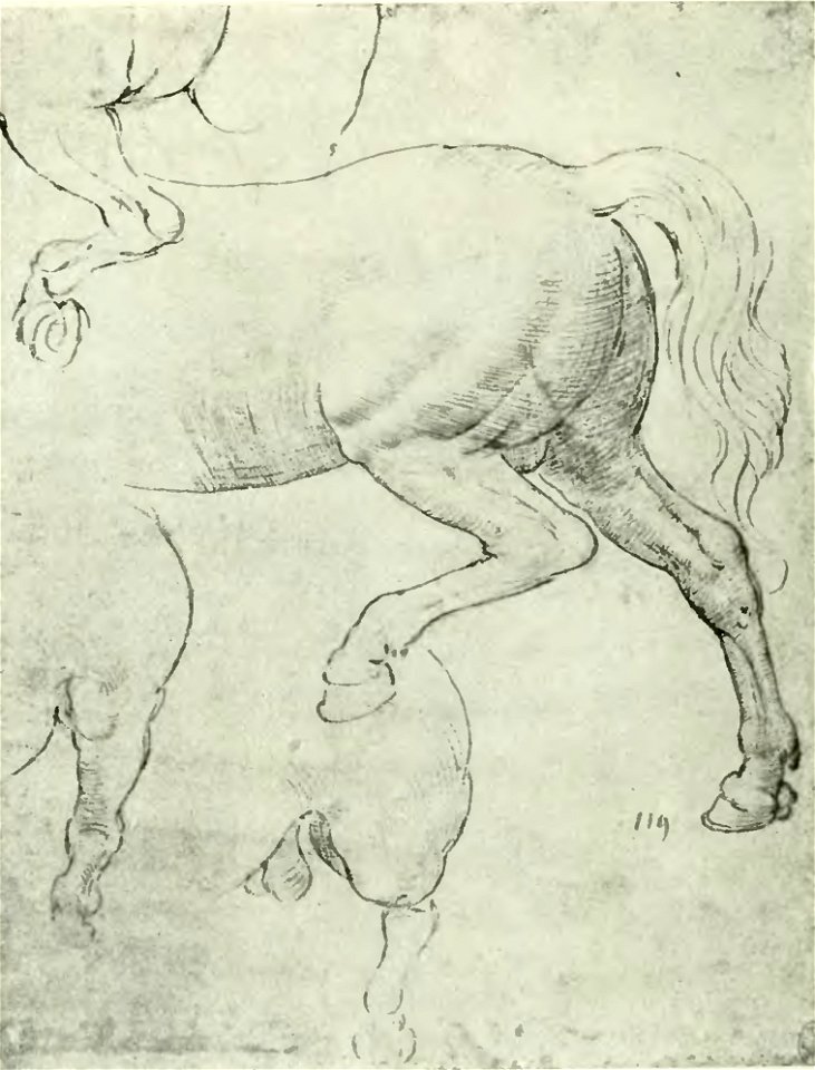 Francesco Malaguzzi Valeri - Leonardo da Vinci e la scultura, Bologna, 1922 (page 146 crop)