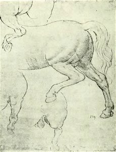 Francesco Malaguzzi Valeri - Leonardo da Vinci e la scultura, Bologna, 1922 (page 146 crop)