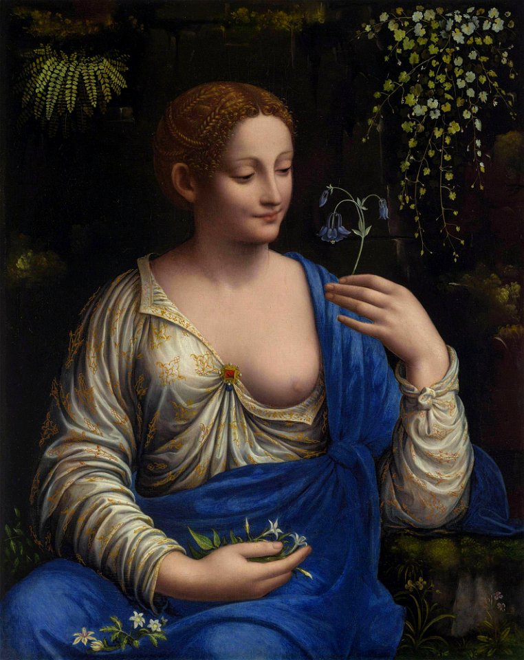 Francesco Melzi Flora after 2019 conservationFXD