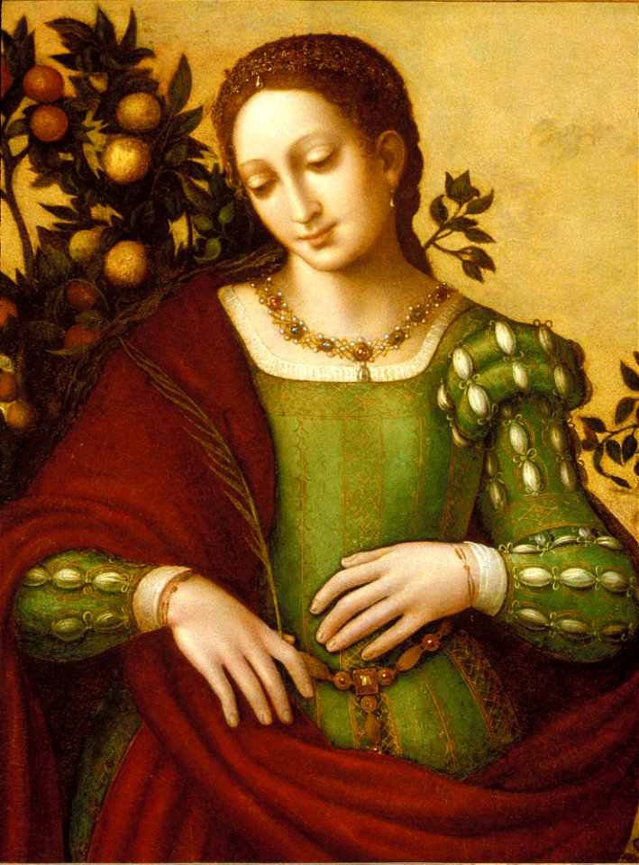 Francesco Melzi - Female Saint - 49.505 - Detroit Institute of Arts