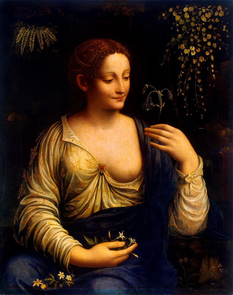 Francesco Melzi 002a