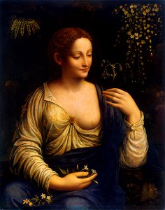 Francesco Melzi 002a