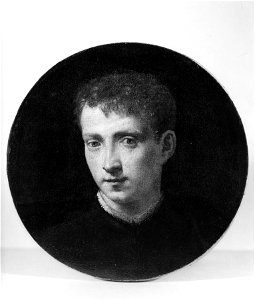Francesco Salviati - Portrait of a Young Man - Walters 371105