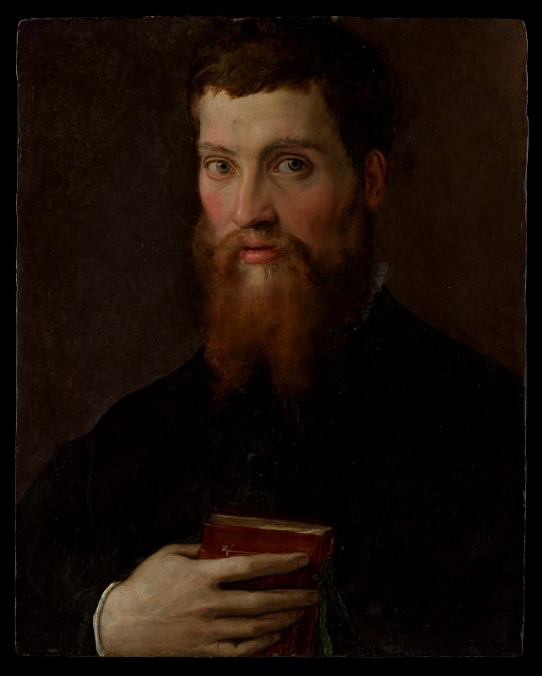 Francesco Salviati (Francesco de' Rossi) - Carlo Rimbotti (1518–1591) - 2017.401 - Metropolitan Museum of Art