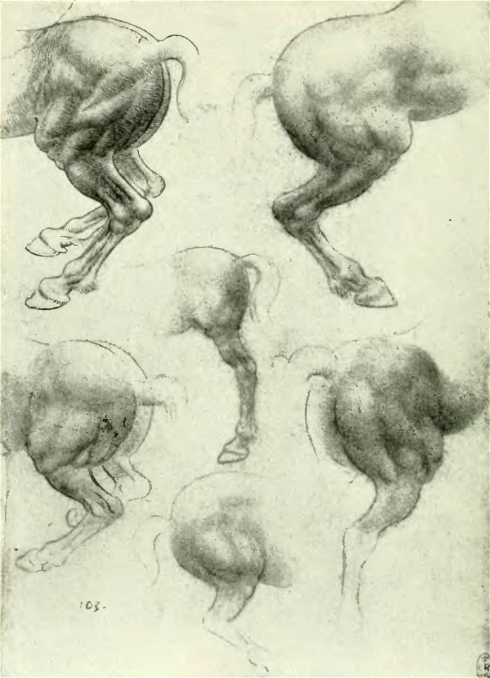 Francesco Malaguzzi Valeri - Leonardo da Vinci e la scultura, Bologna, 1922 (page 150 crop)