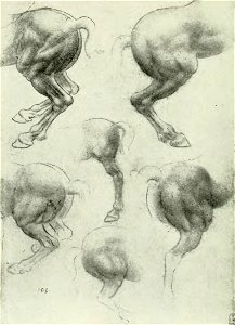 Francesco Malaguzzi Valeri - Leonardo da Vinci e la scultura, Bologna, 1922 (page 150 crop)