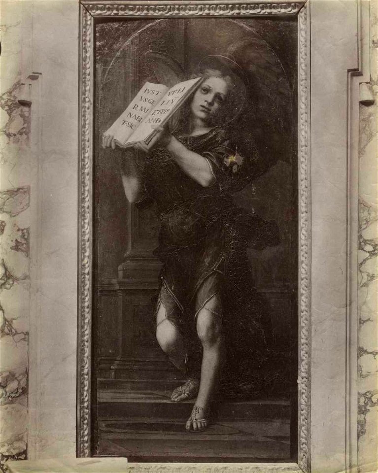 Franciabigio - Angelo, Chiesa di S. Spirito