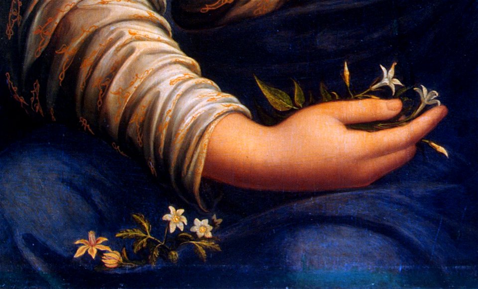 Francesco Melzi 002 - detail 02